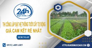 Báo giá thi công lắp đặt hệ thống tưới cây tự động tại Gò Vấp
