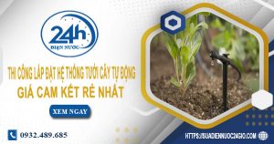 Báo giá thi công lắp đặt hệ thống tưới cây tự động tại quận 11