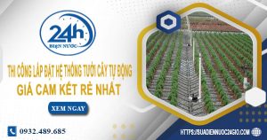 Báo giá thi công lắp đặt hệ thống tưới cây tự động tại quận 5